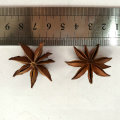 Hot selling Professional supply natural organic anise seed